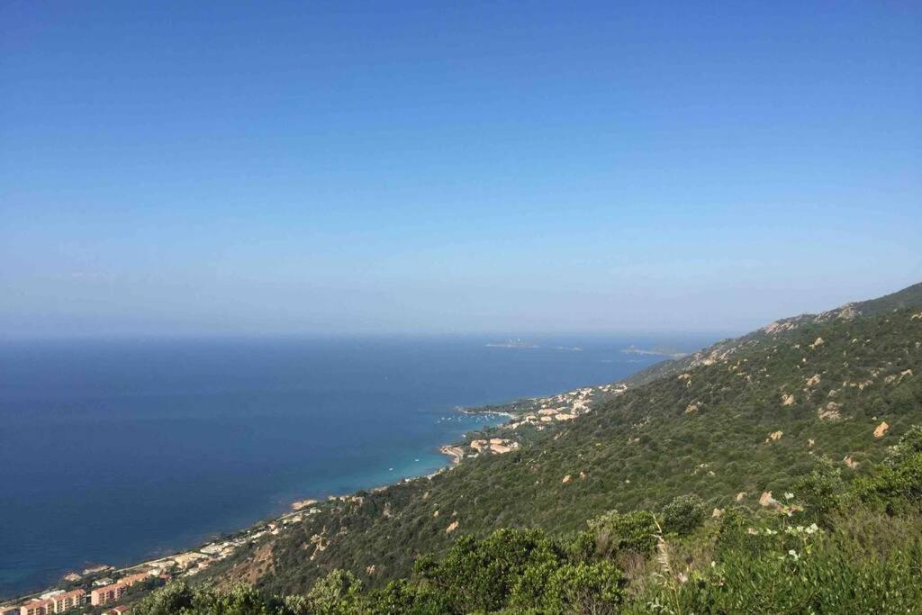 Ajaccio Magnifique T2 Neuf 40M2 Avec Balcon Au Trottel 4 Couchages Wifi Clim Parking Plage A Pieds 100M Zewnętrze zdjęcie