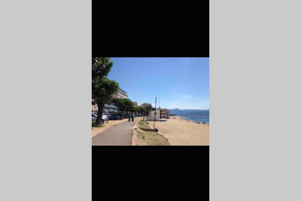 Ajaccio Magnifique T2 Neuf 40M2 Avec Balcon Au Trottel 4 Couchages Wifi Clim Parking Plage A Pieds 100M Zewnętrze zdjęcie