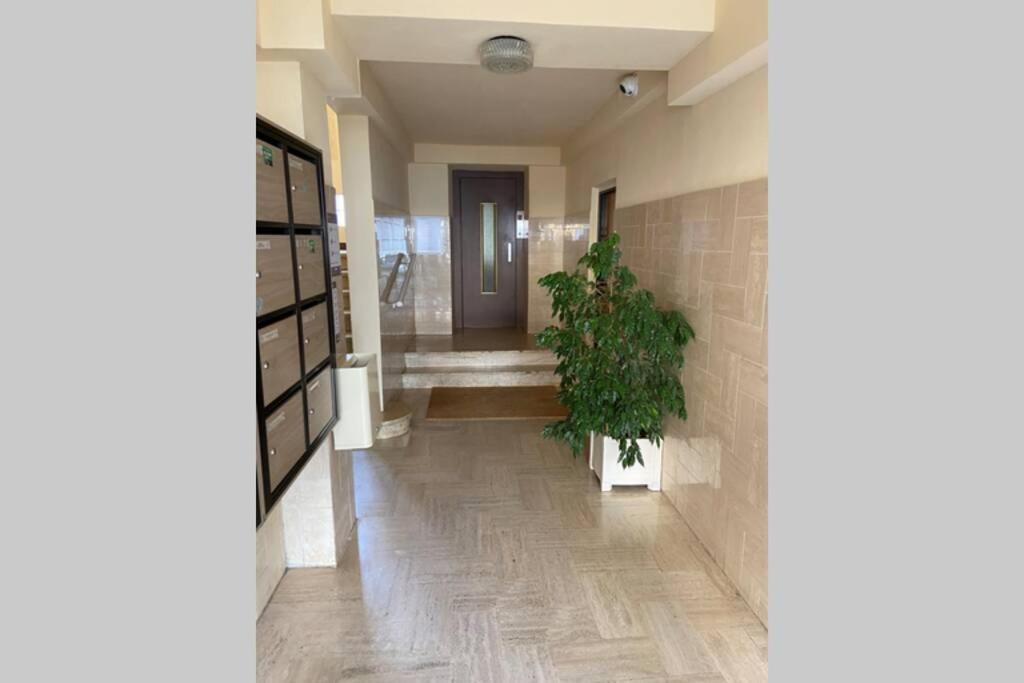 Ajaccio Magnifique T2 Neuf 40M2 Avec Balcon Au Trottel 4 Couchages Wifi Clim Parking Plage A Pieds 100M Zewnętrze zdjęcie