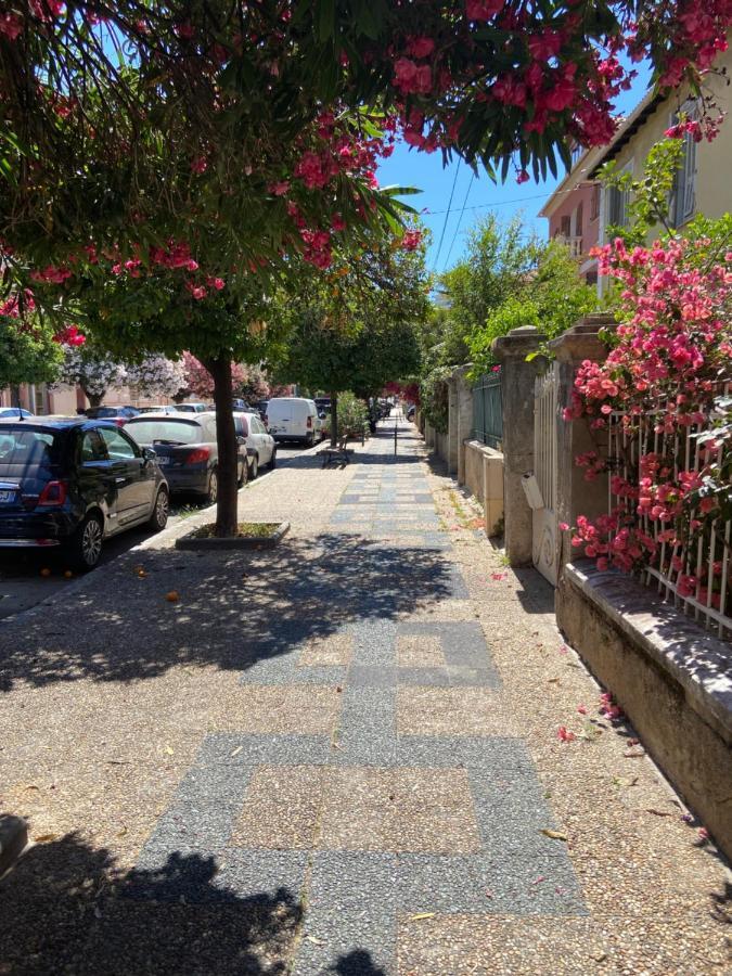 Ajaccio Magnifique T2 Neuf 40M2 Avec Balcon Au Trottel 4 Couchages Wifi Clim Parking Plage A Pieds 100M Zewnętrze zdjęcie